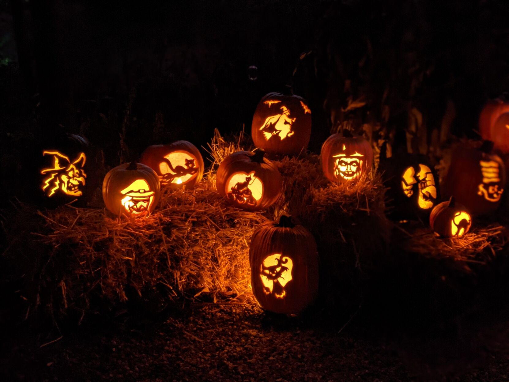 Witches on pumpkins